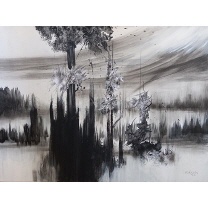 Raimund Selinka